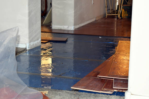 Professional Burst Pipe Cleanup technician working in Unicoi, TN